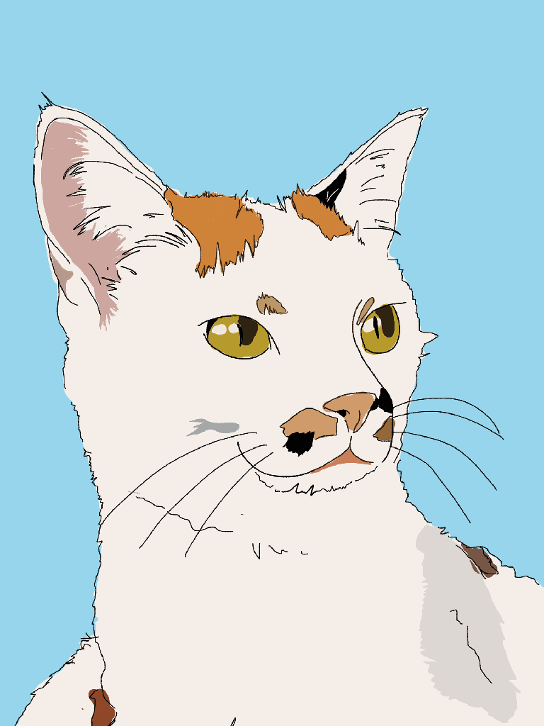 kim 3.png