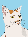 kim 3.png