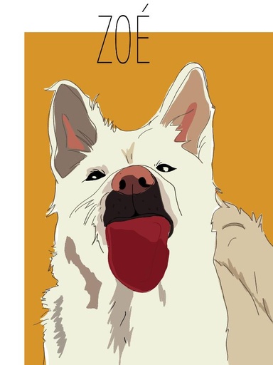 Illustration Numérique animal de compagnie couleur