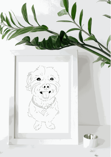 Illustration Numérique Animal de compagnie Noir et Blanc